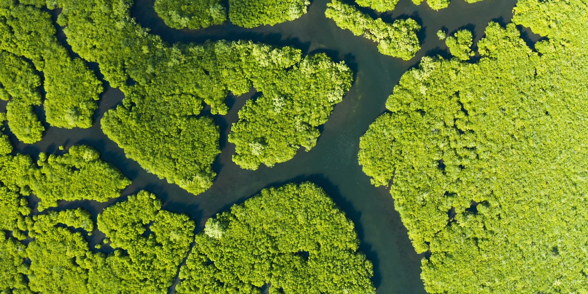 Greenhouse gases we overlook