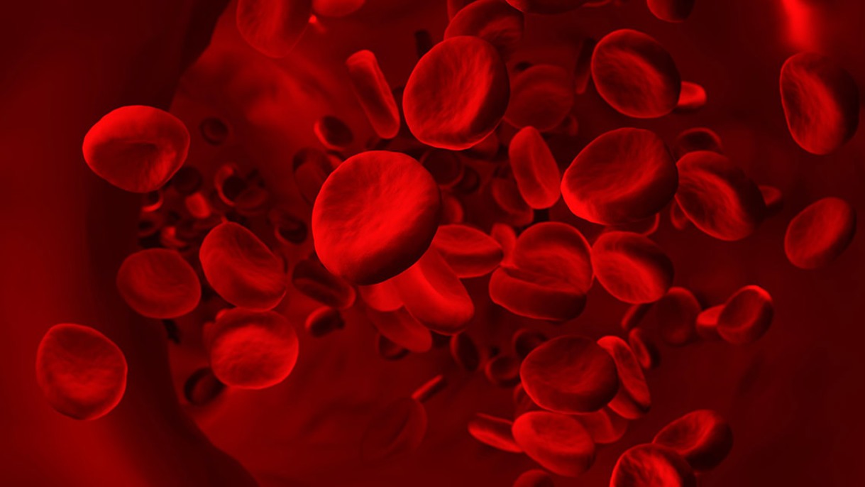 New Findings Dramatic Impact of Even a Few Mutated Cells on Blood Cancer Development