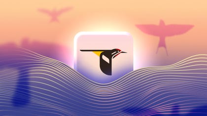 This bird app has connected me to the present moment more than meditation apps