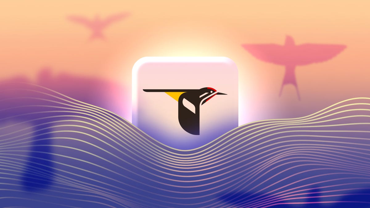 This bird app has made me more present in the moment than meditation apps have