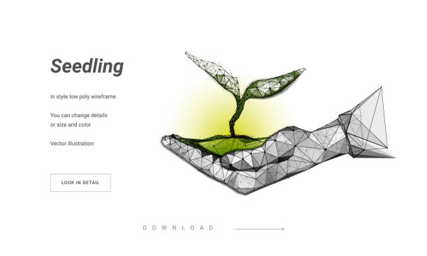 istockphoto 1313291643 612x612 1